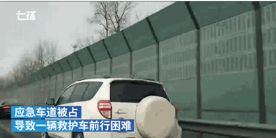 幽暗森林有什么特色内容
