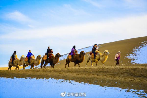 盗贼之海鲨鱼常在哪里出现