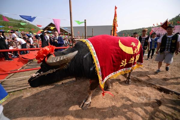 战神4迷雾之锚怎么获得