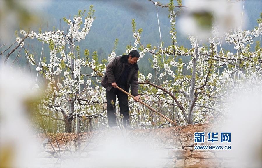  饥荒联机版草叉怎么获得