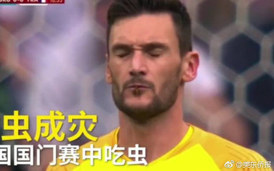 艾尔登法环法姆亚兹拉的黄金种子在哪里